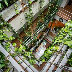 Hotel Picasso